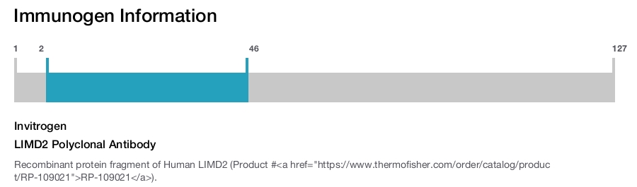 LIMD2 Polyclonal Antibody