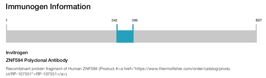 ZNF594 Polyclonal Antibody