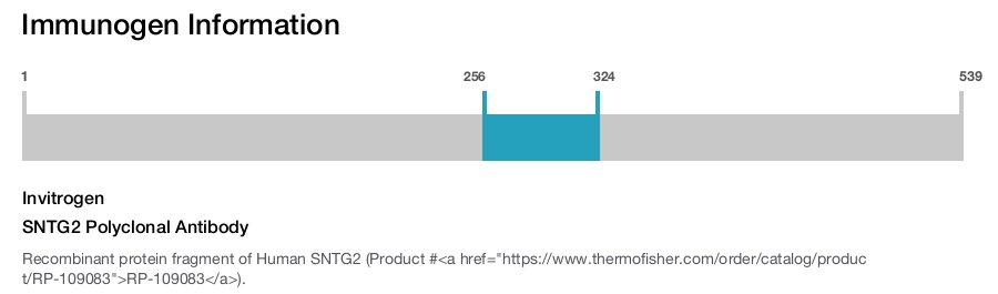SNTG2 Polyclonal Antibody