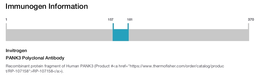 PANK3 Polyclonal Antibody