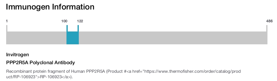 PPP2R5A Polyclonal Antibody