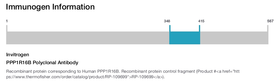 PPP1R16B Polyclonal Antibody