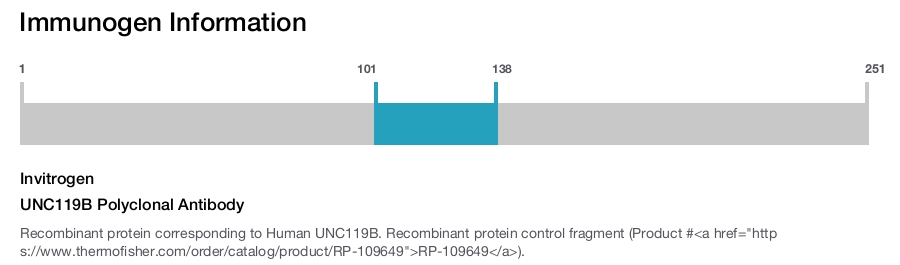 UNC119B Polyclonal Antibody