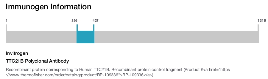 TTC21B Polyclonal Antibody
