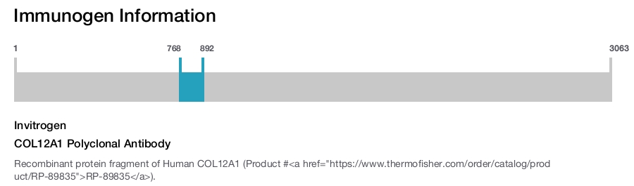COL12A1 Polyclonal Antibody