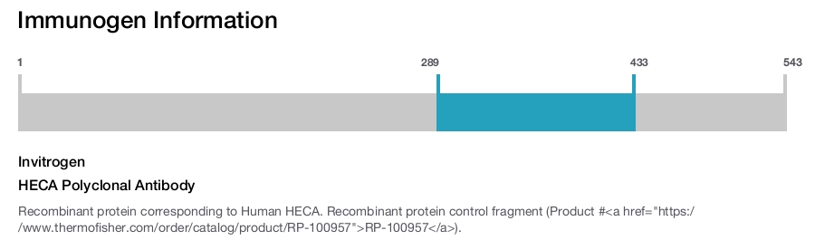 HECA Polyclonal Antibody