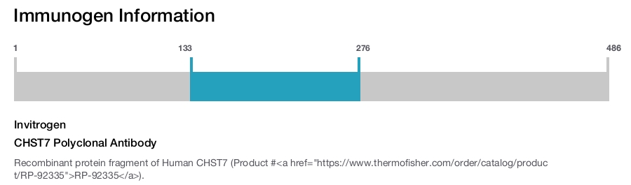 CHST7 Polyclonal Antibody