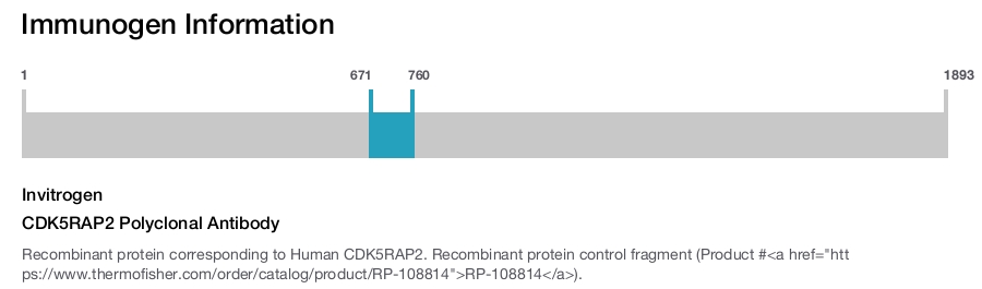 CDK5RAP2 Polyclonal Antibody