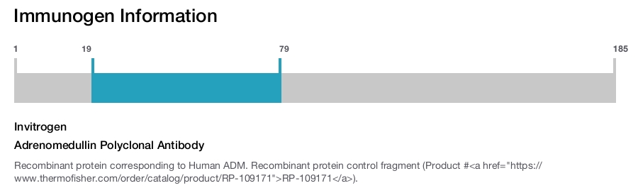 Adrenomedullin Polyclonal Antibody