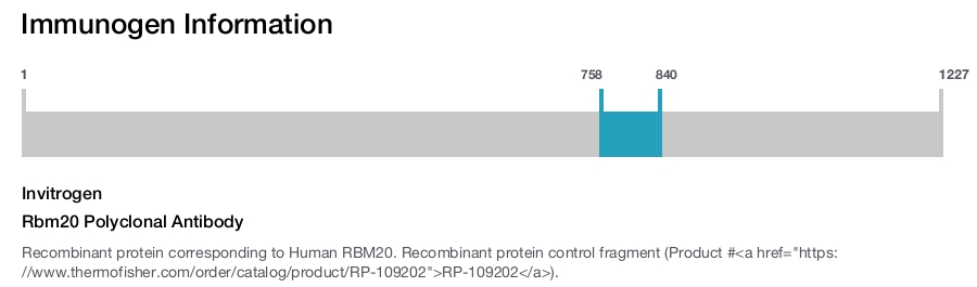Rbm20 Polyclonal Antibody