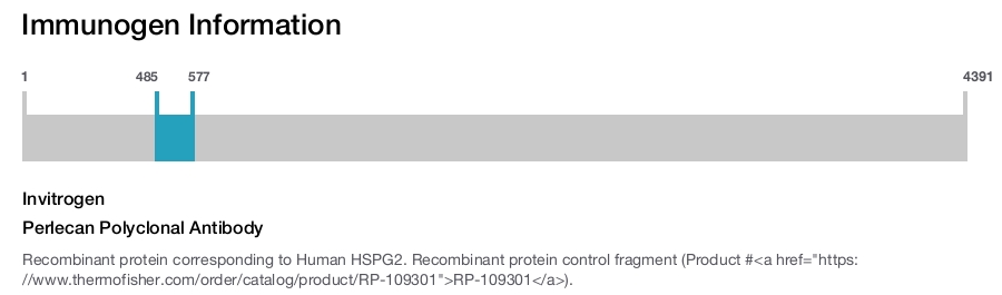 Perlecan Polyclonal Antibody
