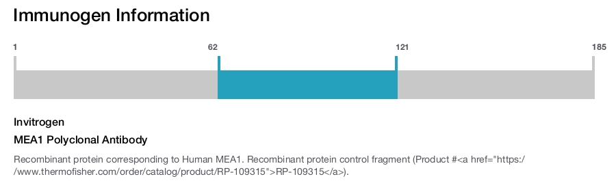 MEA1 Polyclonal Antibody