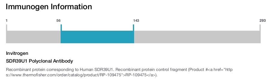 SDR39U1 Polyclonal Antibody