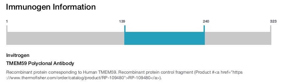 TMEM59 Polyclonal Antibody