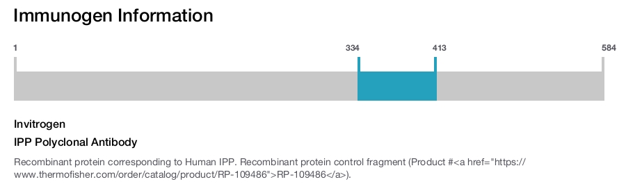 IPP Polyclonal Antibody