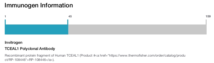 TCEAL1 Polyclonal Antibody