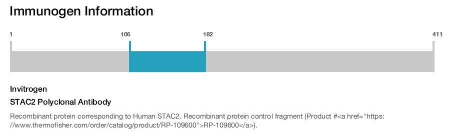 STAC2 Polyclonal Antibody