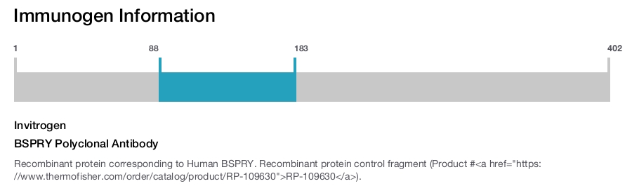 BSPRY Polyclonal Antibody