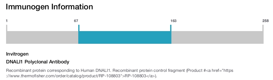 DNALI1 Polyclonal Antibody