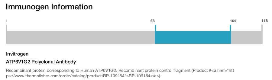 ATP6V1G2 Polyclonal Antibody