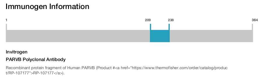 PARVB Polyclonal Antibody