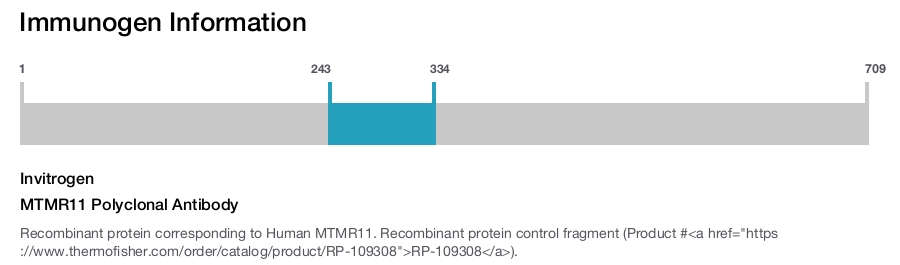 MTMR11 Polyclonal Antibody