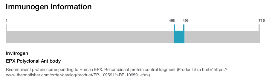 EPX Polyclonal Antibody