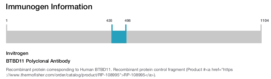 BTBD11 Polyclonal Antibody