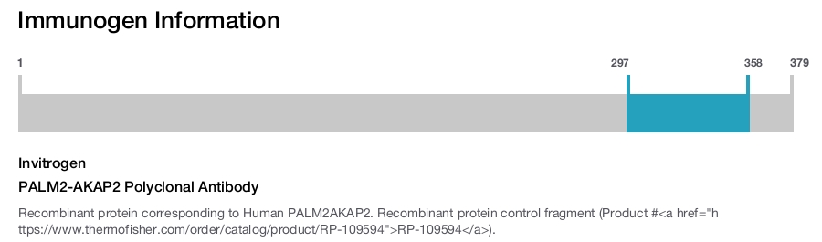 PALM2-AKAP2 Polyclonal Antibody