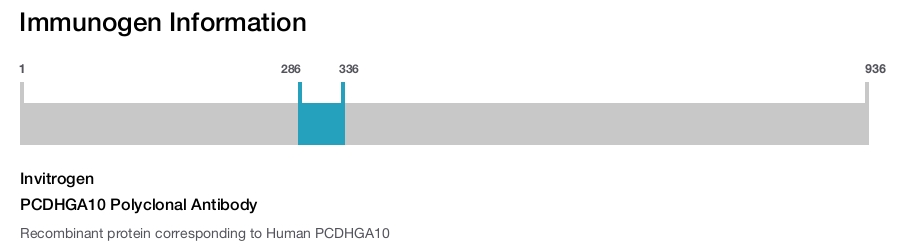 PCDHGA10 Polyclonal Antibody