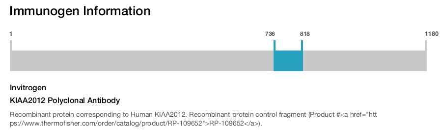 KIAA2012 Polyclonal Antibody