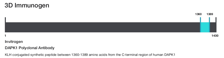 DAPK1 Polyclonal Antibody