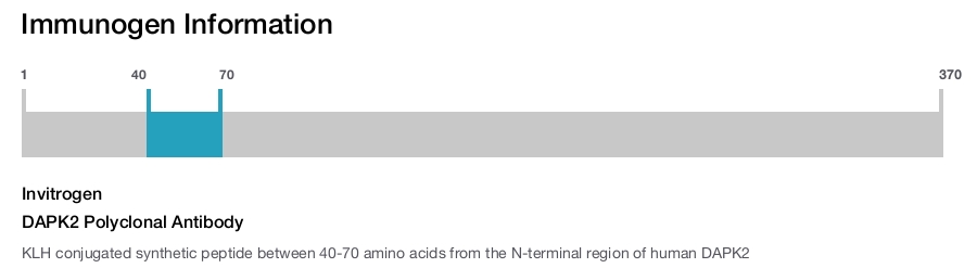 DAPK2 Polyclonal Antibody