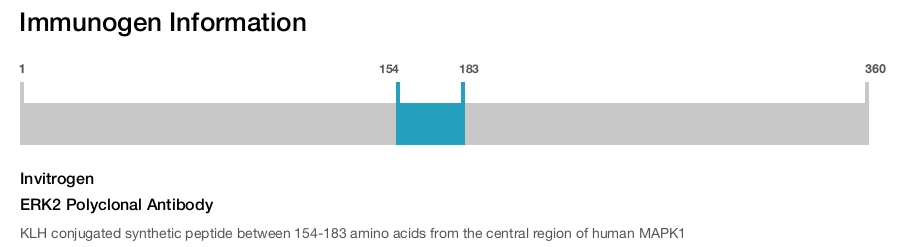 ERK2 Polyclonal Antibody