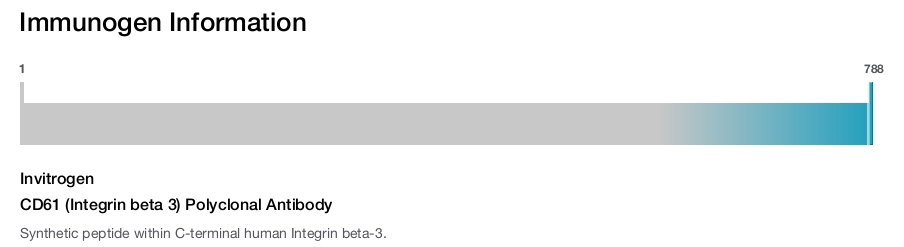CD61 (Integrin beta 3) Polyclonal Antibody