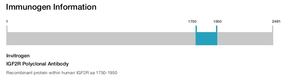 IGF2R Polyclonal Antibody