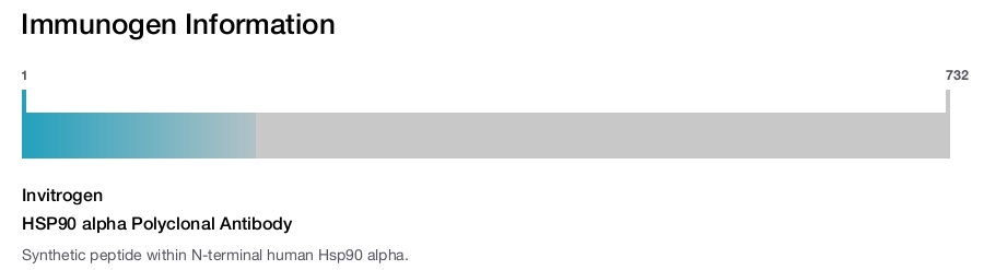 HSP90 alpha Polyclonal Antibody