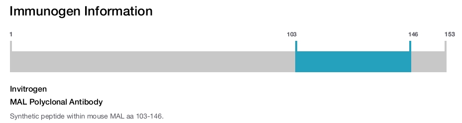 MAL Polyclonal Antibody