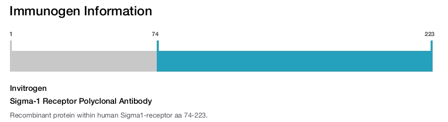 Sigma-1 Receptor Polyclonal Antibody