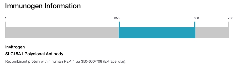 SLC15A1 Polyclonal Antibody