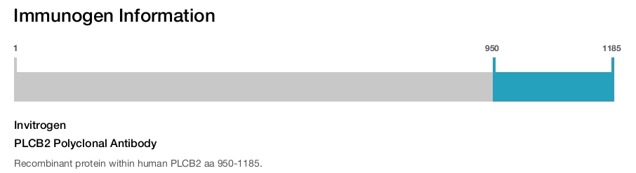 PLCB2 Polyclonal Antibody