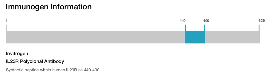 IL23R Polyclonal Antibody