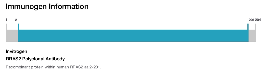 RRAS2 Polyclonal Antibody