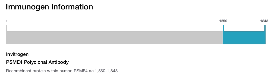PSME4 Polyclonal Antibody