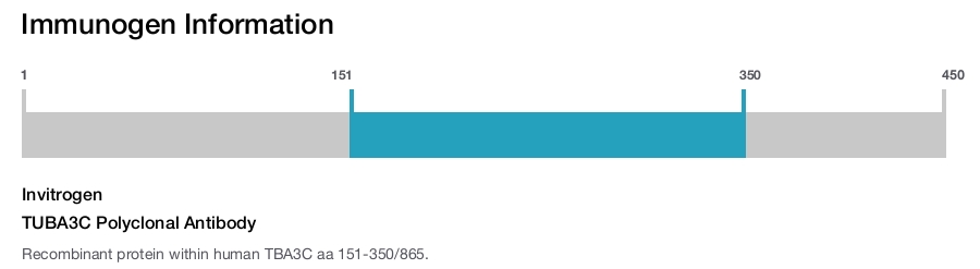 TUBA3C Polyclonal Antibody