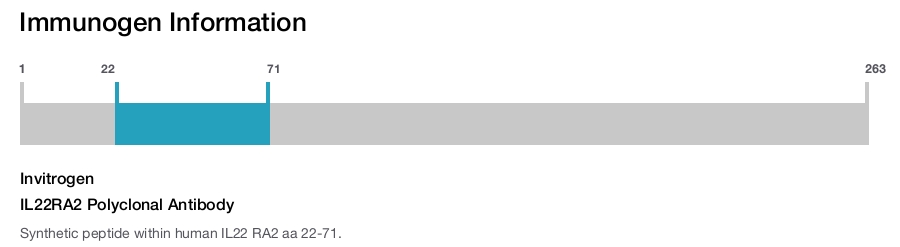 IL22RA2 Polyclonal Antibody