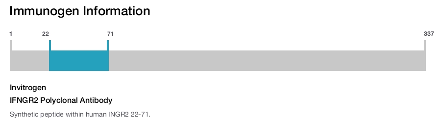 IFNGR2 Polyclonal Antibody