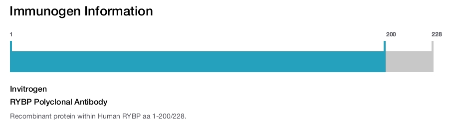 RYBP Polyclonal Antibody