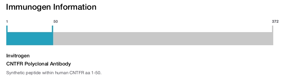 CNTFR Polyclonal Antibody