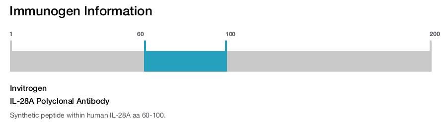 IL-28A Polyclonal Antibody